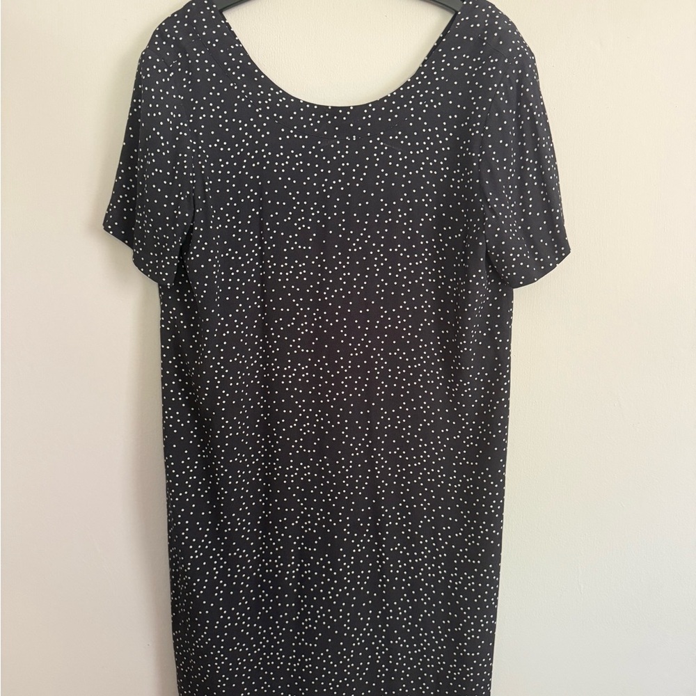 Madewell Polka Dot Shift Dress with Zipper Back